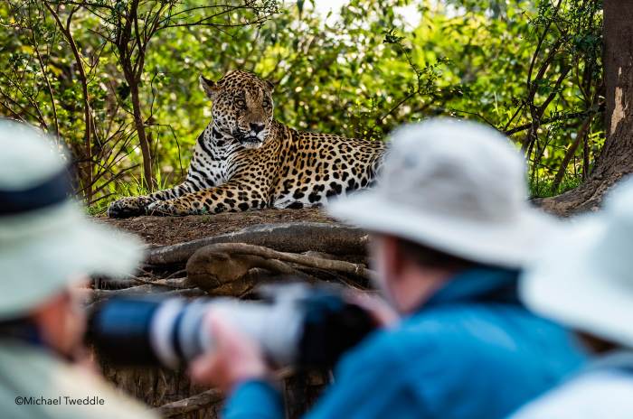Wildlife photography hide tips capturing sunken stunning when indlovu none lodge irl za Wildlife photography hide tips capturing sunken stunning when indlovu none lodge irl za