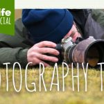 Wildlife nature photography