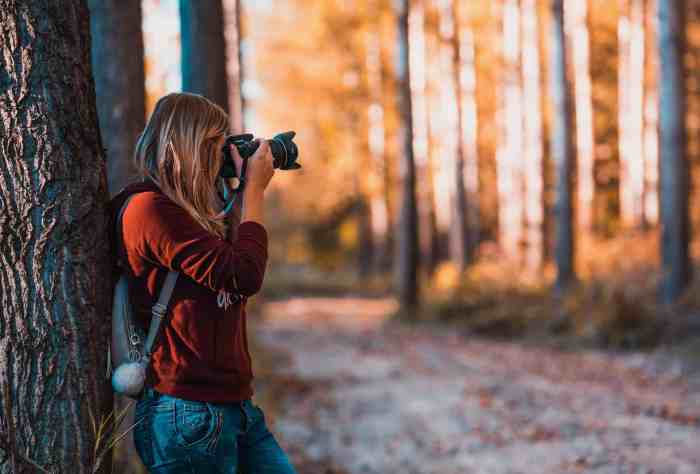 Photography tips beginners essential